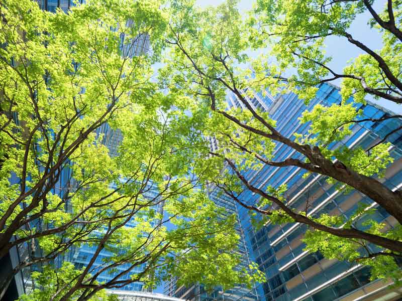 Urbanisme De Demain Adapter Les Villes Osmia